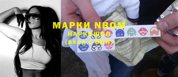 молекула духа Пестово