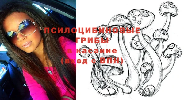 spice Абинск