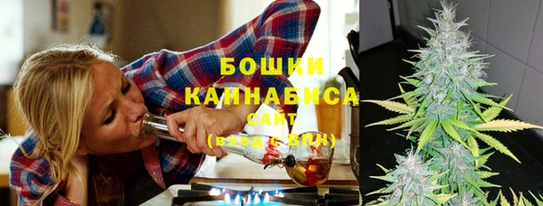 молекула духа Пестово