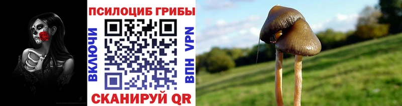 Галлюциногенные грибы ЛСД  Сокол 