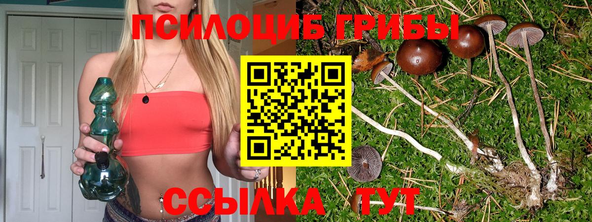 Псилоцибиновые грибы Cubensis  Вход с VPN  Сокол 