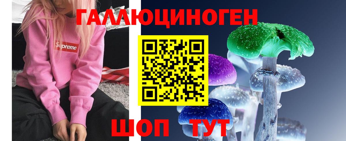 Псилоцибиновые грибы Psilocybine cubensis Сокол
